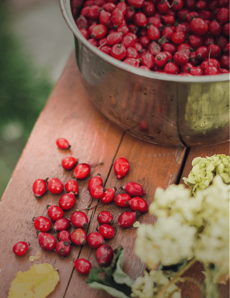 A metal bowl filled with red berries sits on a wooden surface, with some berries scattered nearby. White flowers are visible in the foreground.