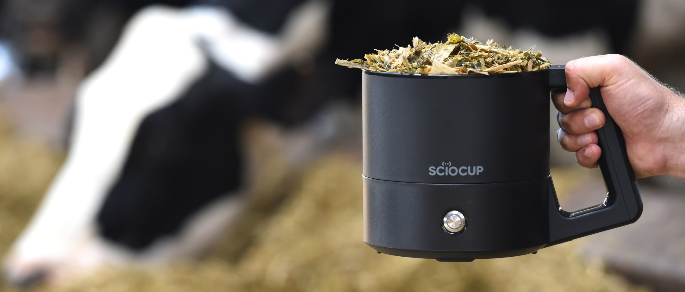 A hand holds a SciO Cup device filled with animal feed, with a cow and hay in the background.